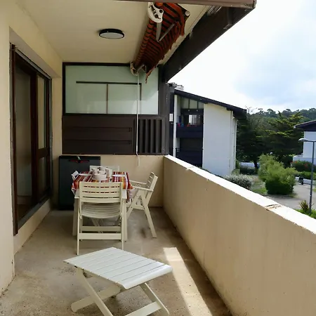Appartement T2 Renove A 2 Min De La Plage, Centre Seignosse, A Pied, Draps Et Menage Inclus - Fr-1-239-812 *
